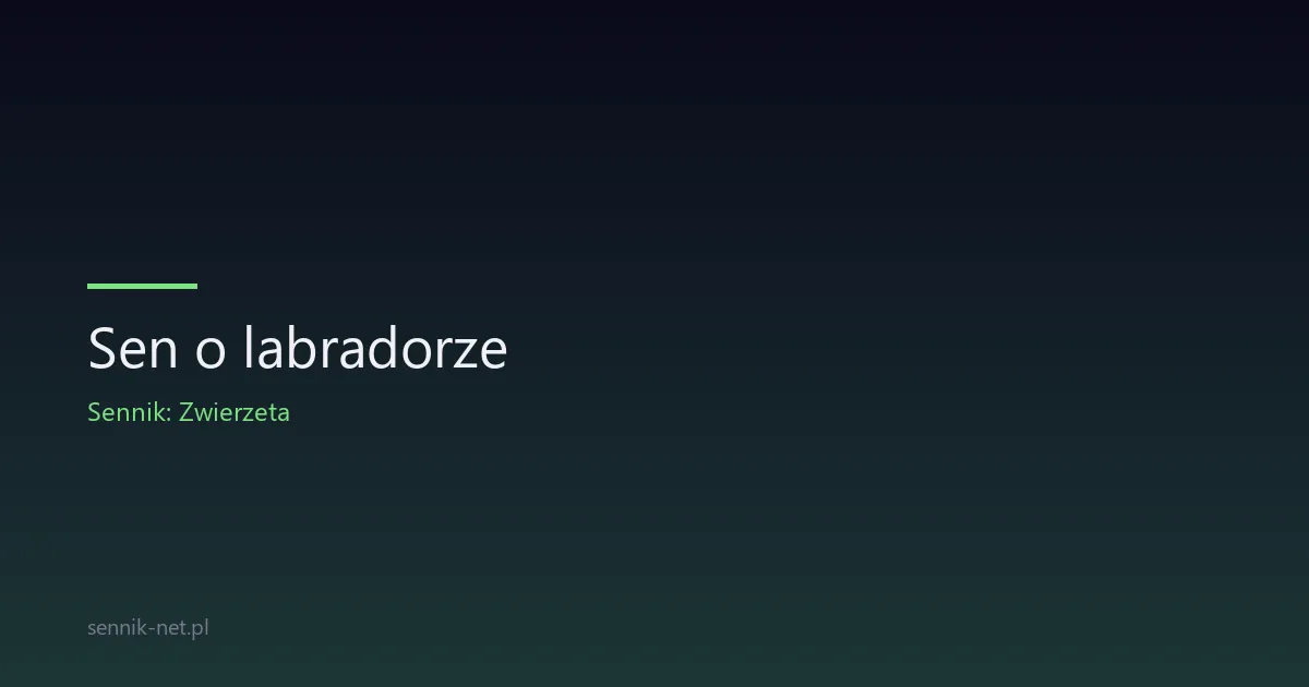 Sen o labradorze — co oznacza i o czym opowiada psychika