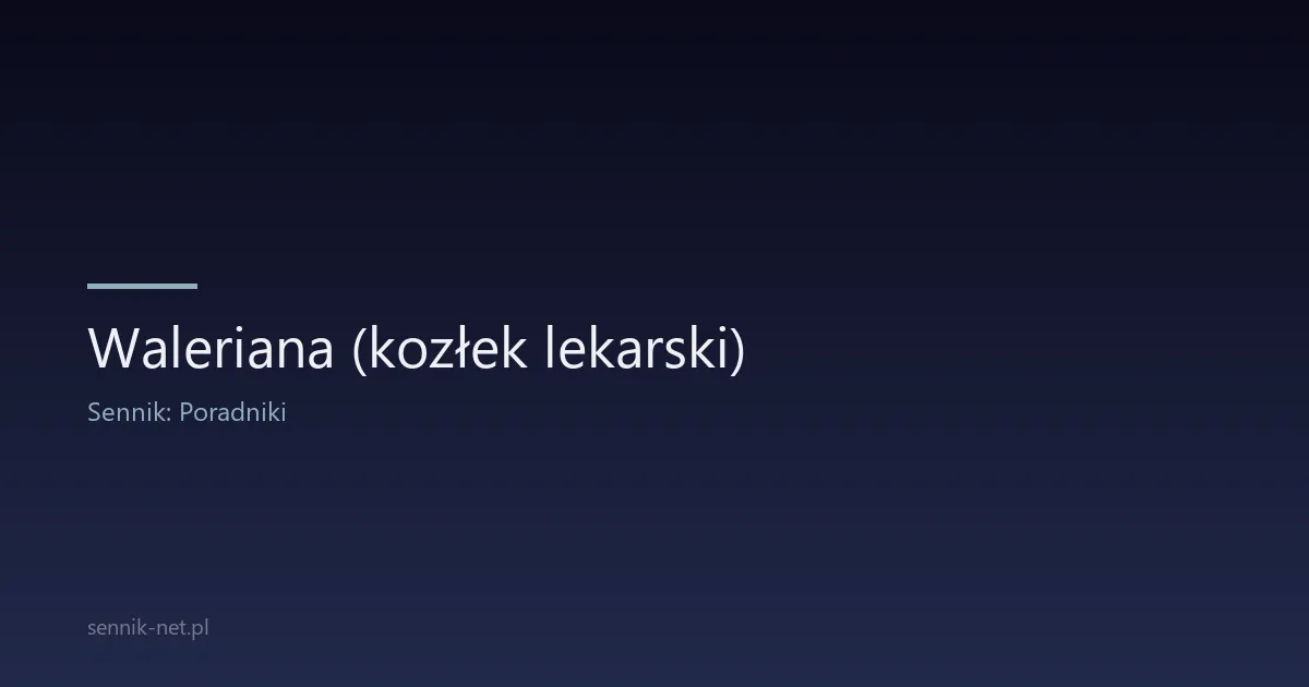 Waleriana (kozłek lekarski) — naturalny lek na bezsenność